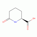 L-6-Oxo-pipecolinic acid