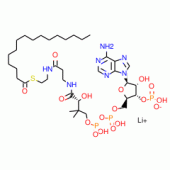 PALMITOYL COENZYME A LITHIUM SALT