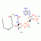 OLEOYL COENZYME A, LITHIUM