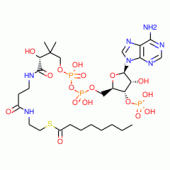 Octanoyl coenzyme A lithium salt hydrate