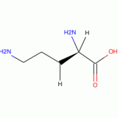 L-ORNITHINE-(2,3-3H)