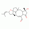 OPHIOBOLIN A FROM HELMINTHOSPORIUM SP.
