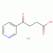 γ-Oxo-3-pyridinebutyric AcidAlso see: P992575