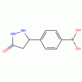 4-(5-Oxopyrazolidin-3-yl)benzeneboronic acid 96%
