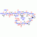 PARATHYROID HORMONE HUMAN*FRAGMENT 28-48