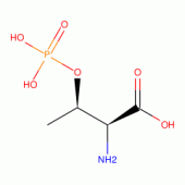 PHOSPHOTHREONINE,DL-(RG)