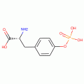 O-PHOSPHO-D-TYROSINE