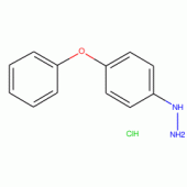 4-(Phenoxy)phenylhydrazine hydrochloride