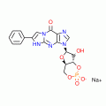 PET-CGMP