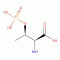 PHOSPHOTHREONINE,DL-(RG)