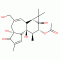 PHORBOL 12-MONOACETATE