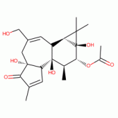 PHORBOL 12-MONOACETATE