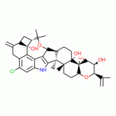 Penitrem A, Penicillium paxilli
