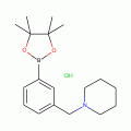 Piperidinomethyl-3-phenylboronic acid pinacol ester hydrochloride