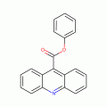 Phenyl acridine-9-carboxylate, 98%