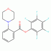 Pentafluorophenyl 2-morpholinobenzoate, 97%
