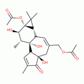 PHORBOL 13,20-DIACETATE