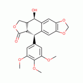 PICROPODOPHYLLOTOXIN