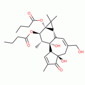 Phorbol-12,13-dibutyrate