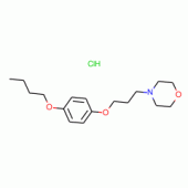 Pramoxine Hydrochloride (500 mg)