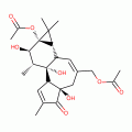 PHORBOL 13,20-DIACETATE