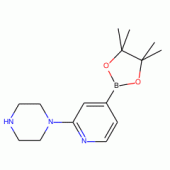 2-(1-Piperazinyl)pyridine-4-boronic acid pinacol ester, 97%