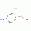 p-Phenetidine Hydrochloride