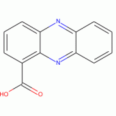 Phenazine-1-carboxylic acid
