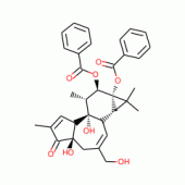 PHORBOL 12,13-DIBENZOATE