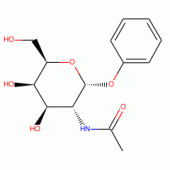 PHENYL N-ACETYL-A-D-GALACTOSAMINIDE