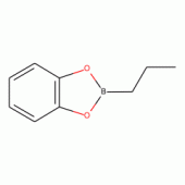 1-Propylboronic acid catechol ester, 97%
