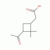 PINONICACID(RG)