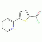 5-(2-吡啶基）-2-噻吩羰酰氯