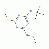 特丁净