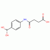 N-[4-Phenylboronic]-succinamic acid