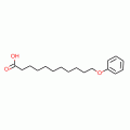 11-PHENOXYUNDECANOIC ACID, 97%