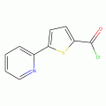 5-(2-吡啶基）-2-噻吩羰酰氯