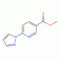 6-吡唑-1-基-烟酸甲酯