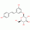 POLYDATIN(PICEID)(P)