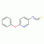 6-Phenoxy-3-pyridinyl isothiocyanate, 97%