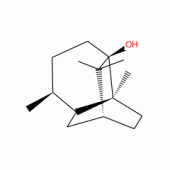 PATCHOULIALCOHOL(RG)