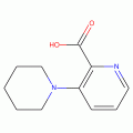 3-Piperidinopyridine-2-carboxylic acid, 97%