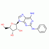 2-Phenylamino Adenosine
