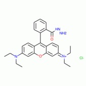 RHODAMINE B HYDRAZIDE