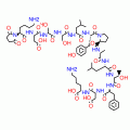 N-SUCCINYL-LYS-ASP-SER-SER-LEU-TYR-PRO-A LA-LEU-THR