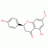 SAKURANETIN(SH)