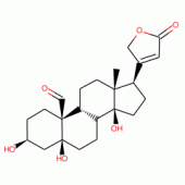 STROPHANTHIDIN(RG)