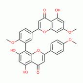 SCIADOPITYSIN(SH)