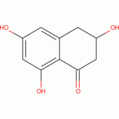 SCYTALONE(RG)
