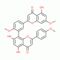 SCIADOPITYSIN(SH)